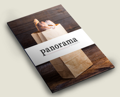panorama-new